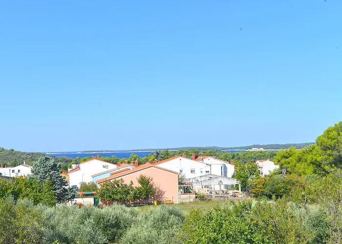 Apartament Milica 56 *